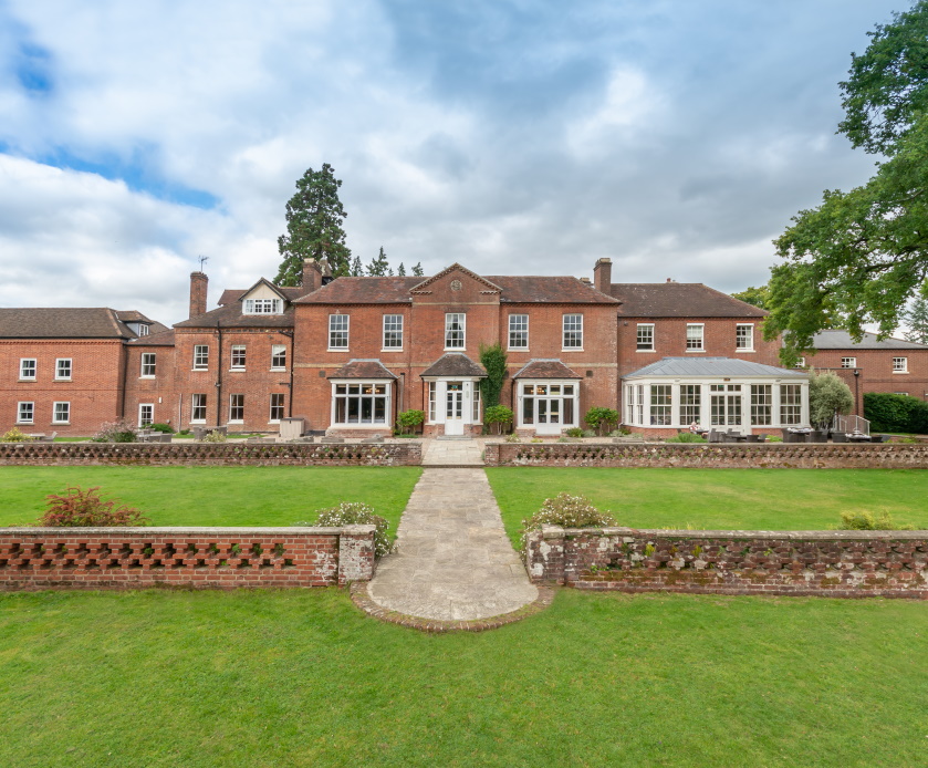 Deer In The New Forest