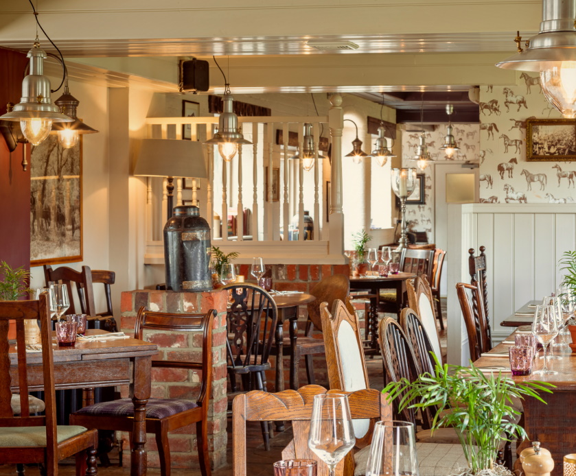 Deer In The New Forest