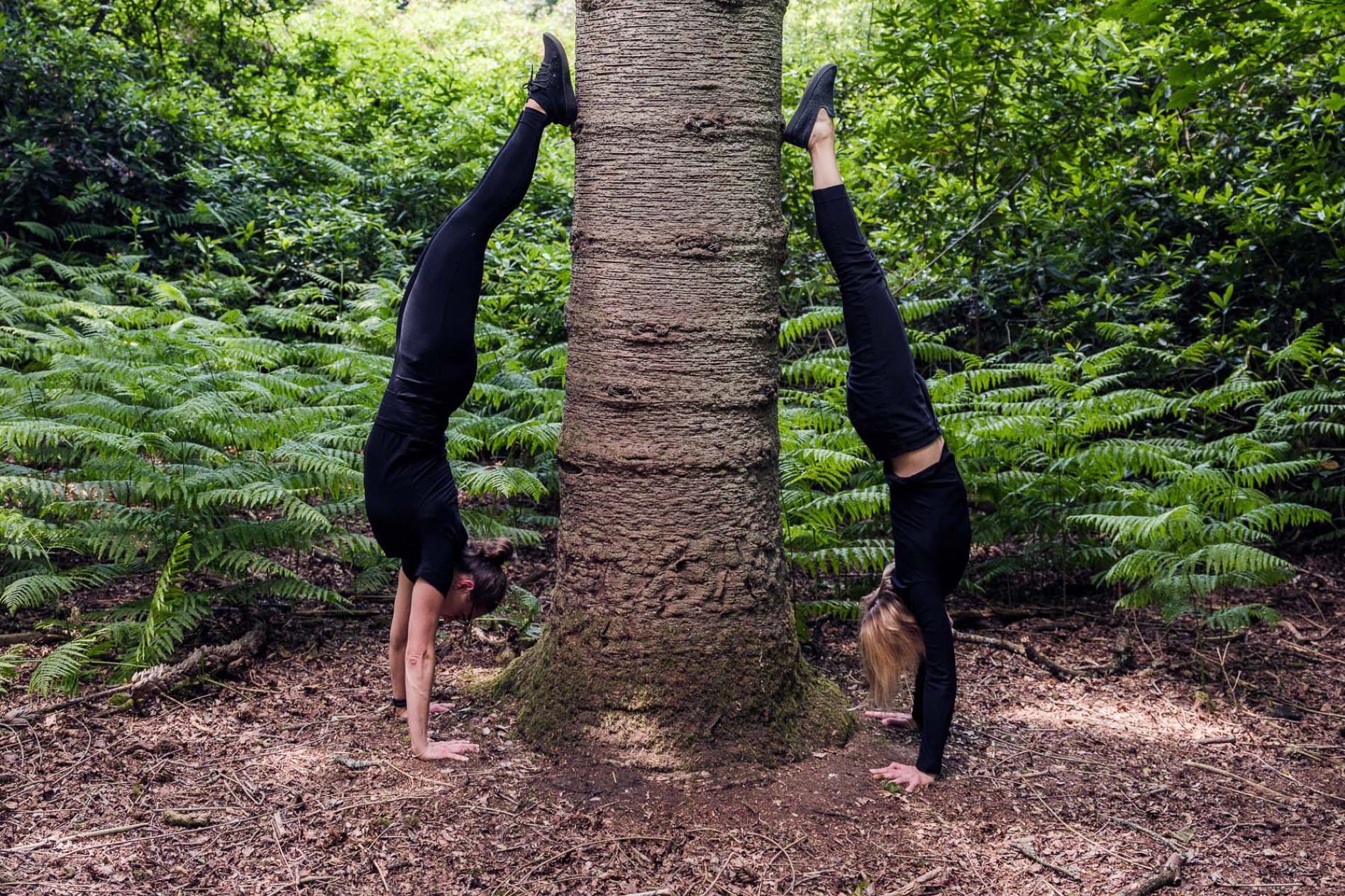 Two people doing a handstand on a tree